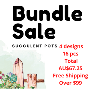 16 PCS Decorative Succulent Pots 4 Designs
